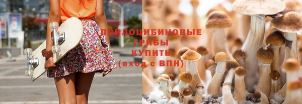 мет Лагань
